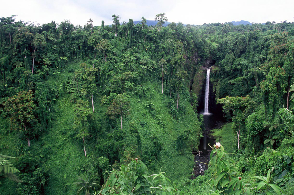 Samoa Waterfalls