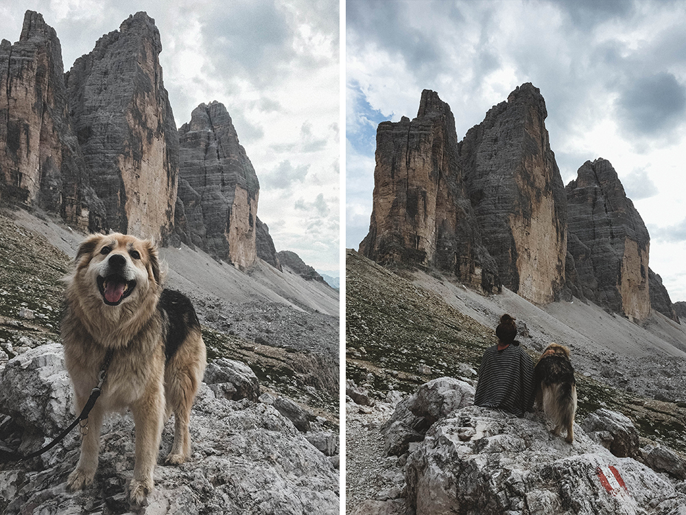 drei-zinnen-dolomiten-suedtirol-wandern-wanderung-hund-campen-camping